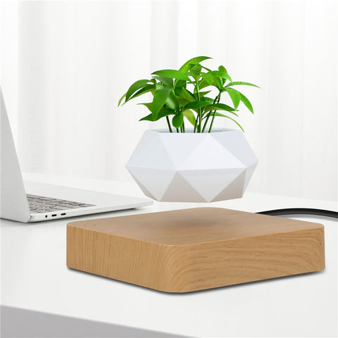 Levitating Floating Bonsai Plant Pot