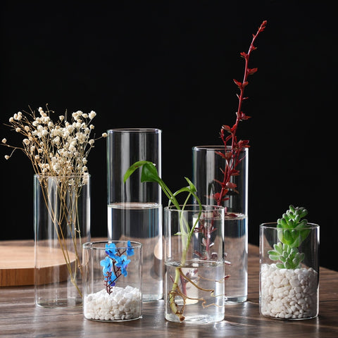 Cylinder Transparent Vases