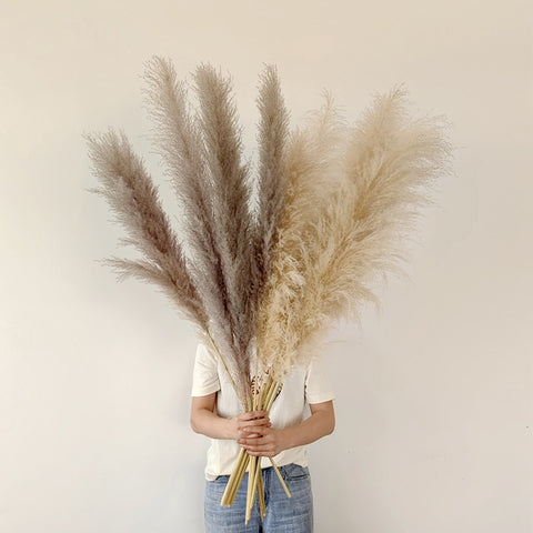 Large Fluffy Pampas Dried Flowers