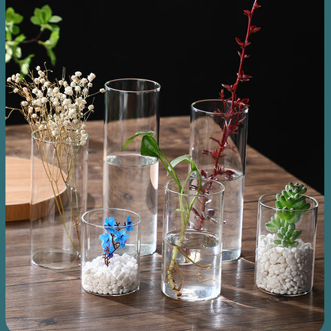 Cylinder Transparent Vases