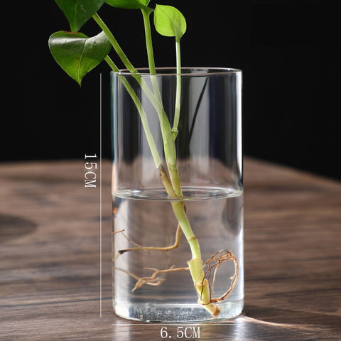 Cylinder Transparent Vases