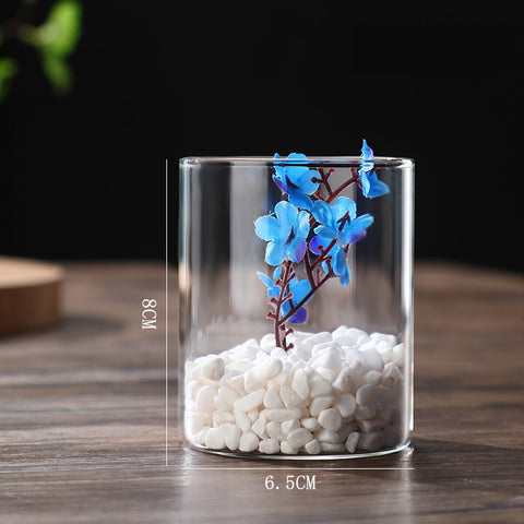 Cylinder Transparent Vases